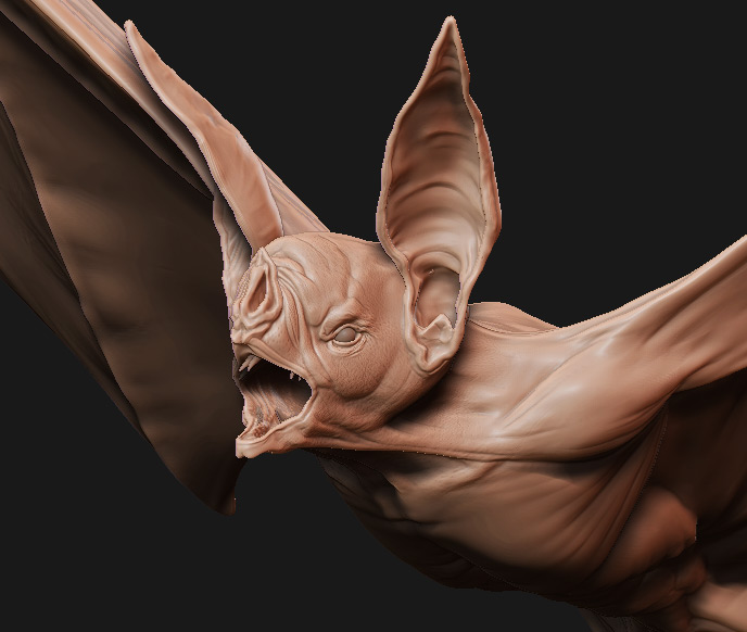 bat3.jpg