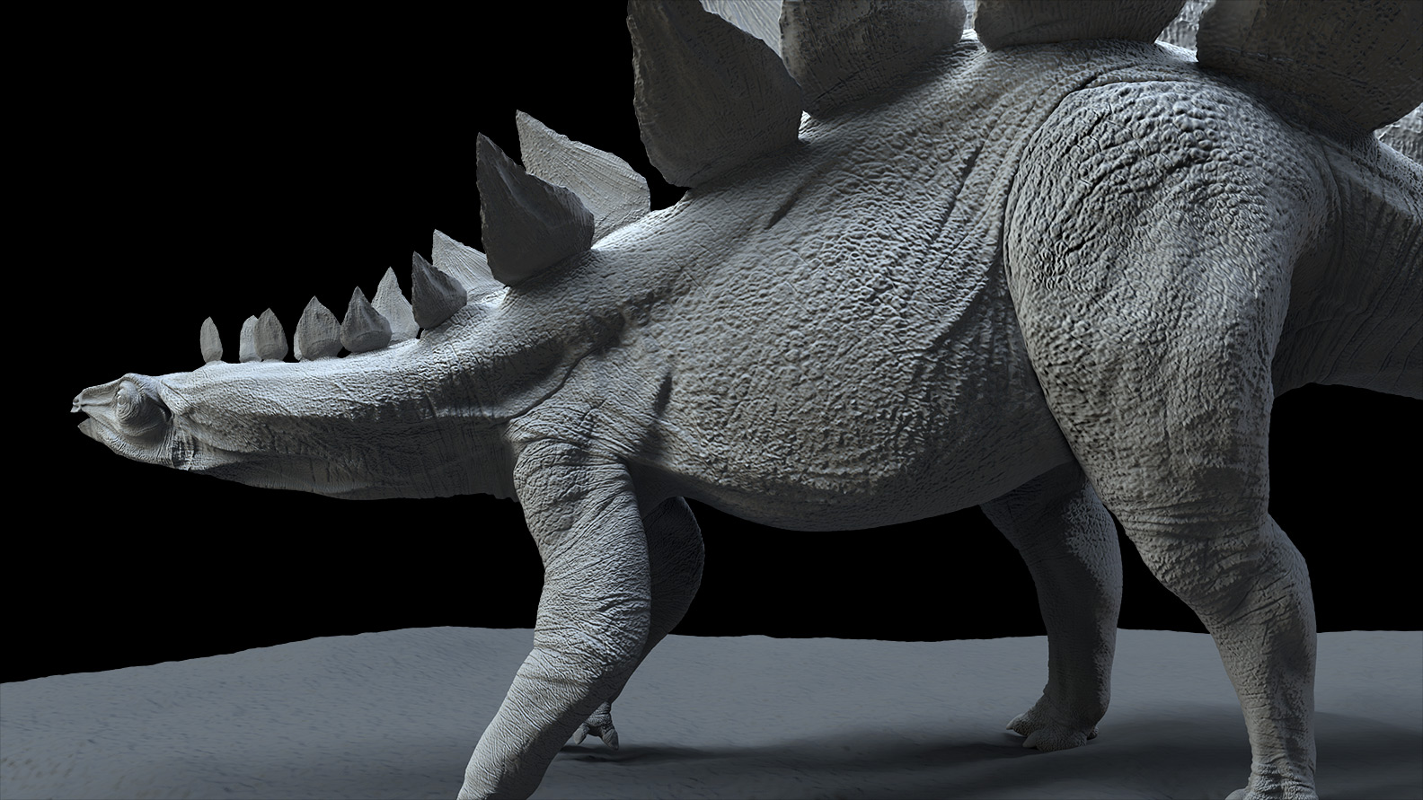 Stegosaurus_5.jpg