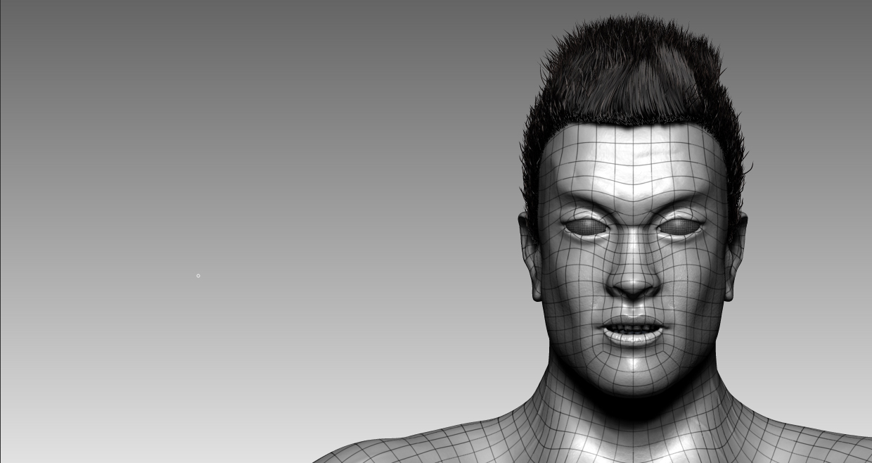 facefronwiren.jpg
