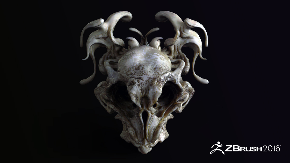 Pablo_Munoz_Skull.jpg