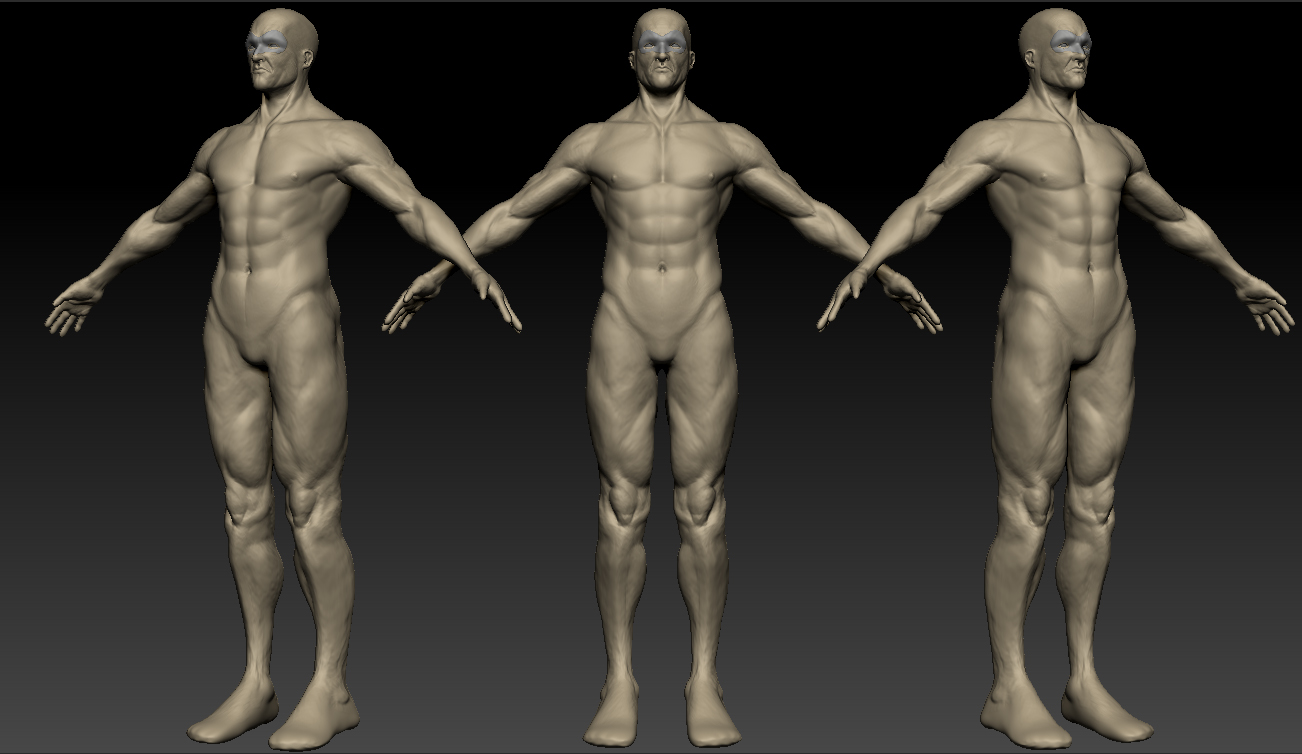 torso.jpg