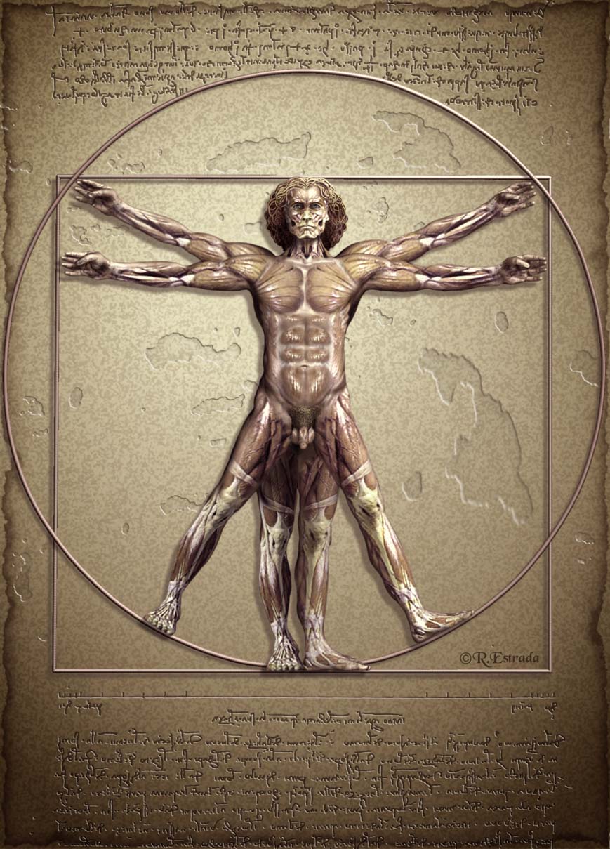Proporcion Aurea (Final).jpg