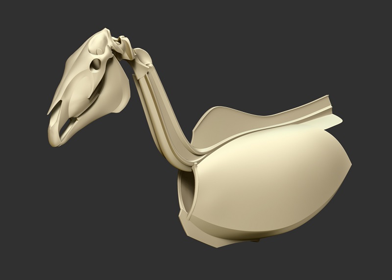 horse_skeleton03.jpg