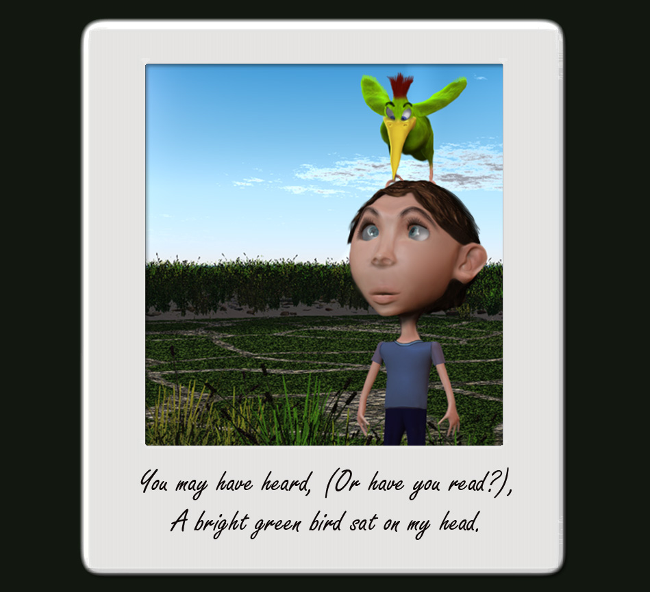 BirdOnMyHead1a.jpg