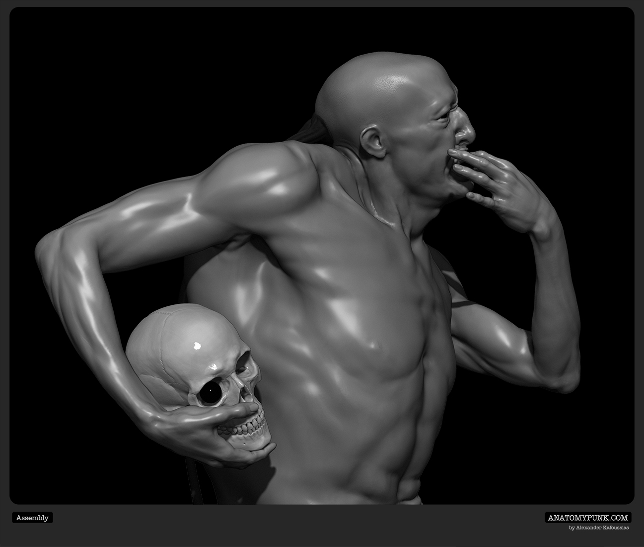 Assembly view 6_Anatomypunk.jpeg