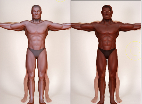 proportions copy.jpg