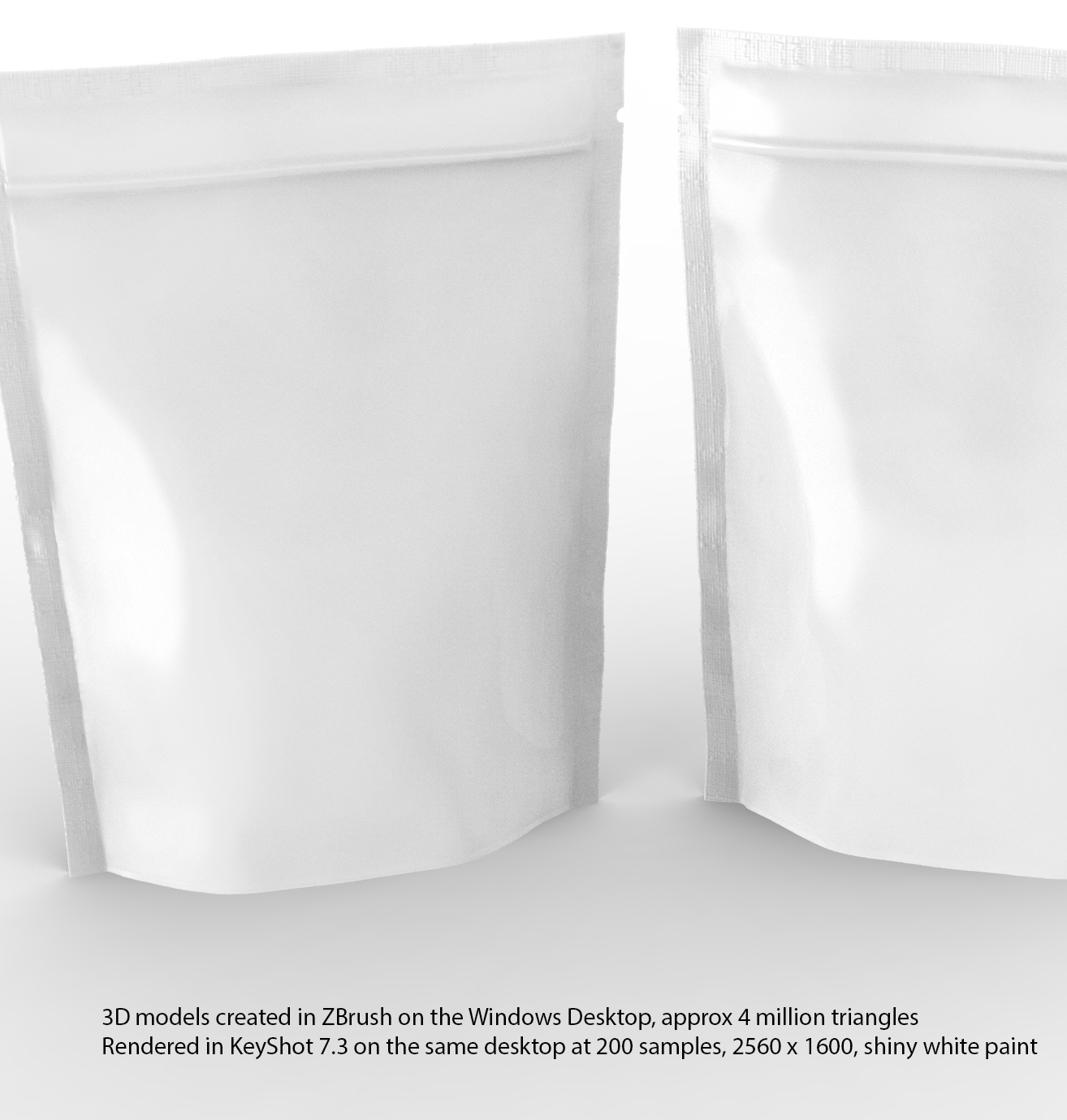 gusset_bags_test_render.jpg