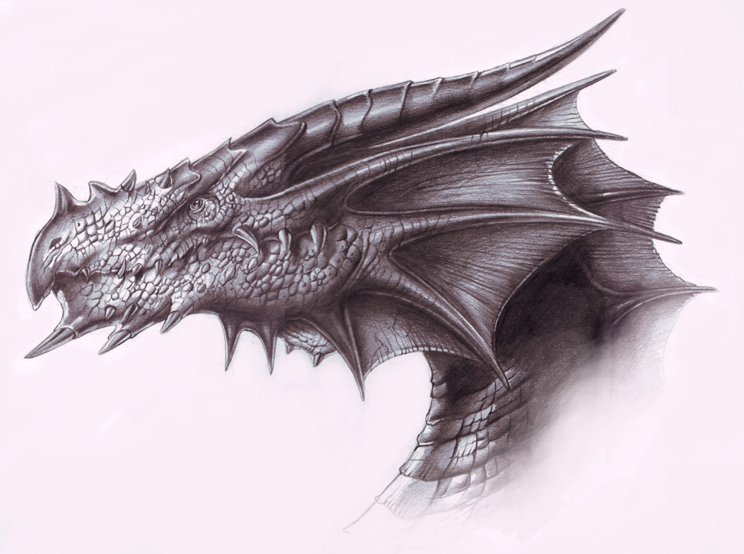 dragao_concept