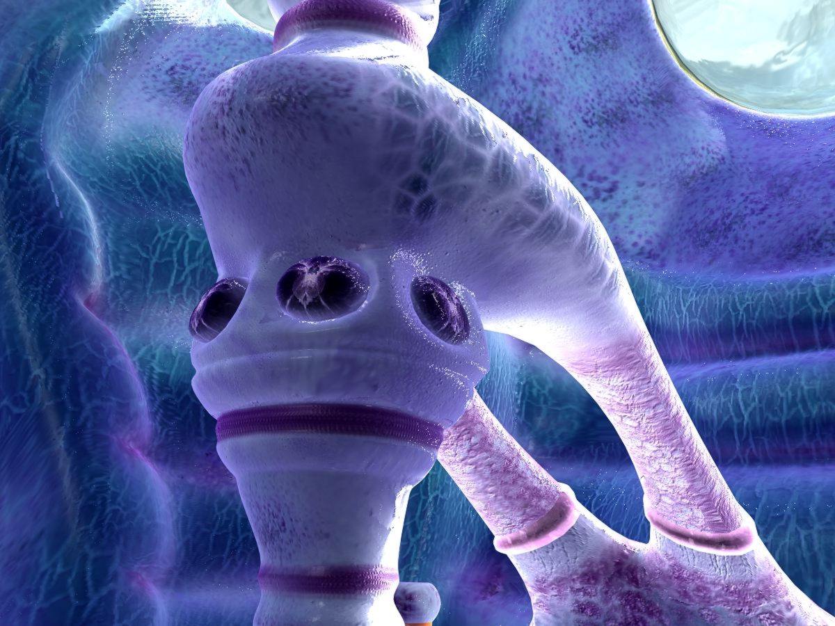 DETALLE 2.jpg
