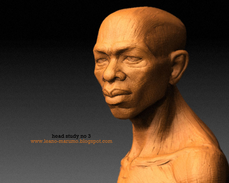 leanos-study3.jpg