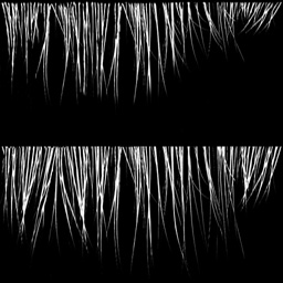 Nat_EyeLashes.jpg
