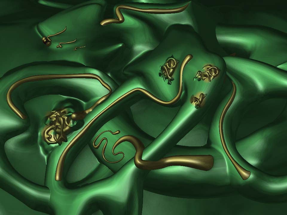 wayscaled-up_3web.jpg