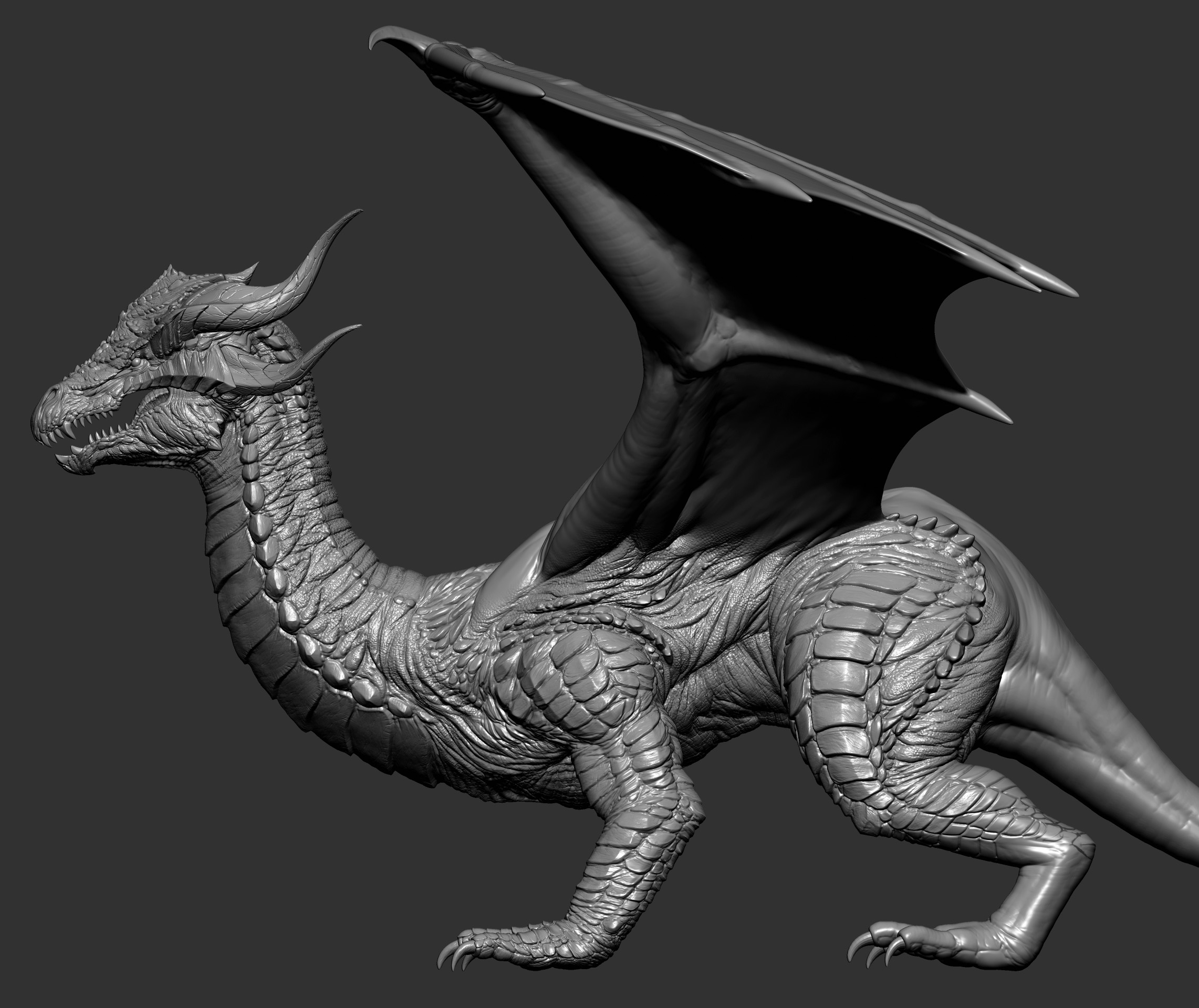 Dragon_0930.jpg