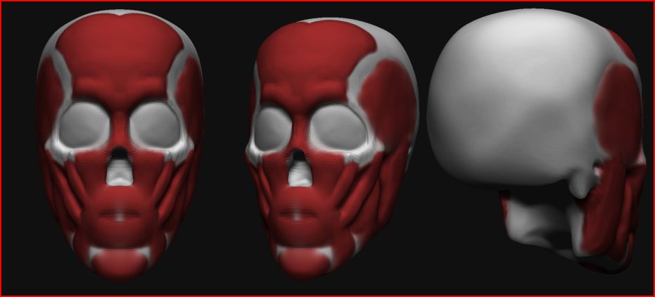 skull03.JPG