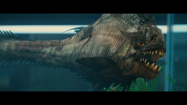 piranha720x405.jpg