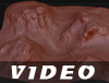 NickVideoIcon.jpg