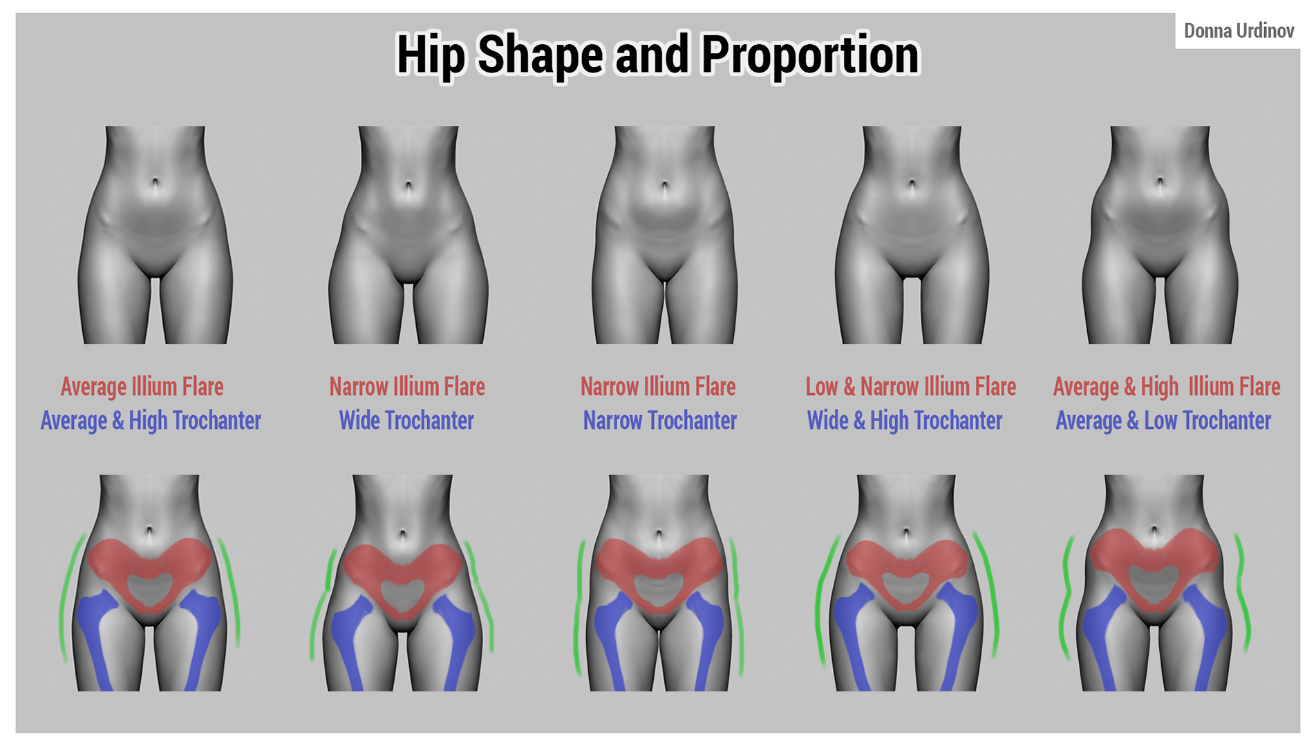 hipShapeandProportion_donnaUrdinov.jpg