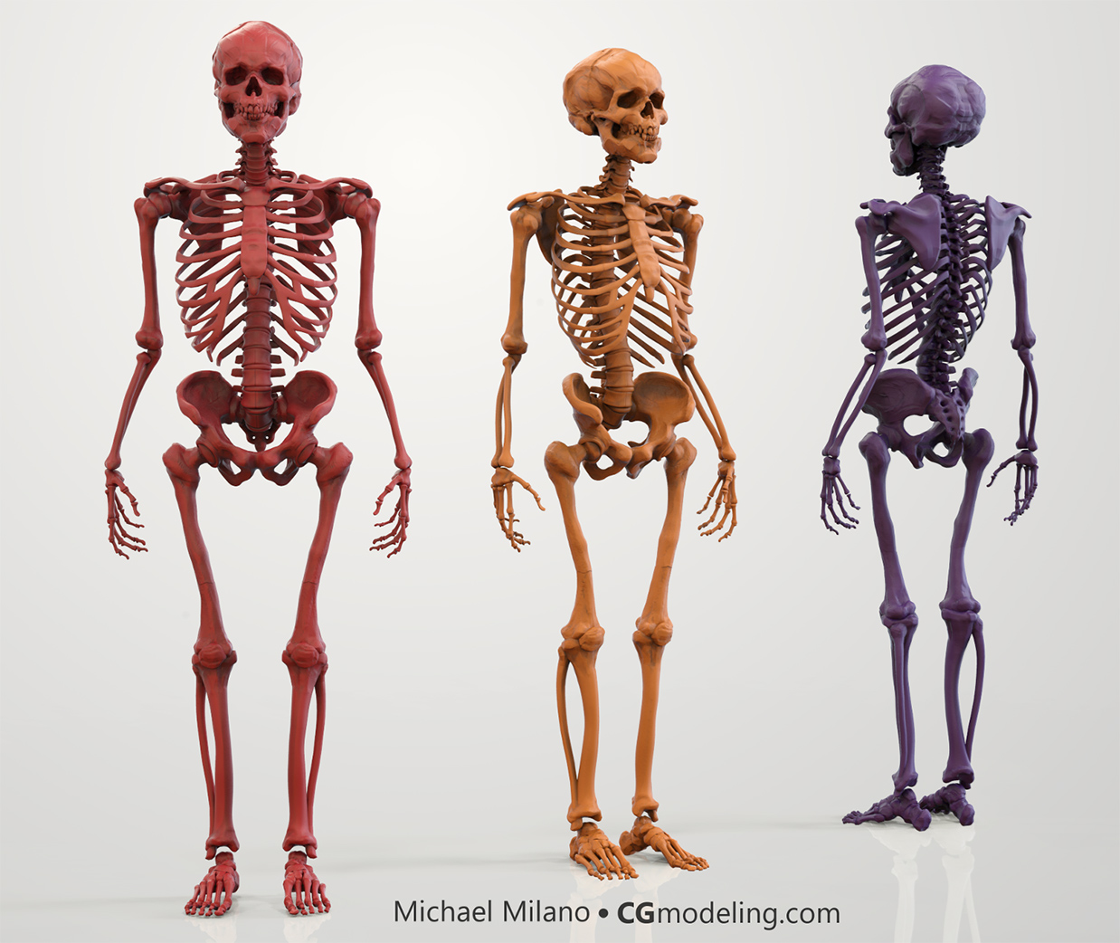 Skeleton_003_CGmodeling_MMilano.jpg