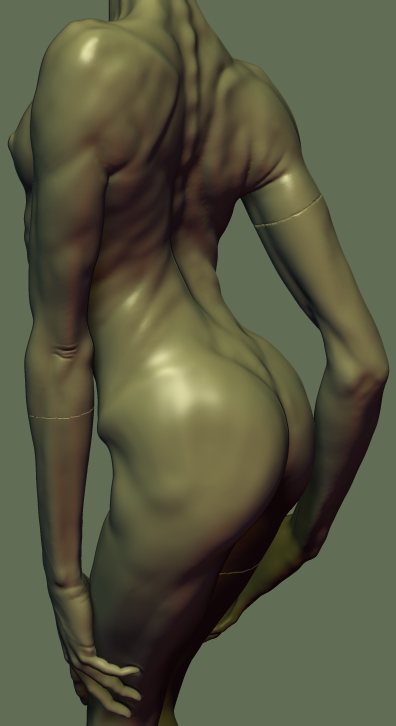 medusa7.jpg