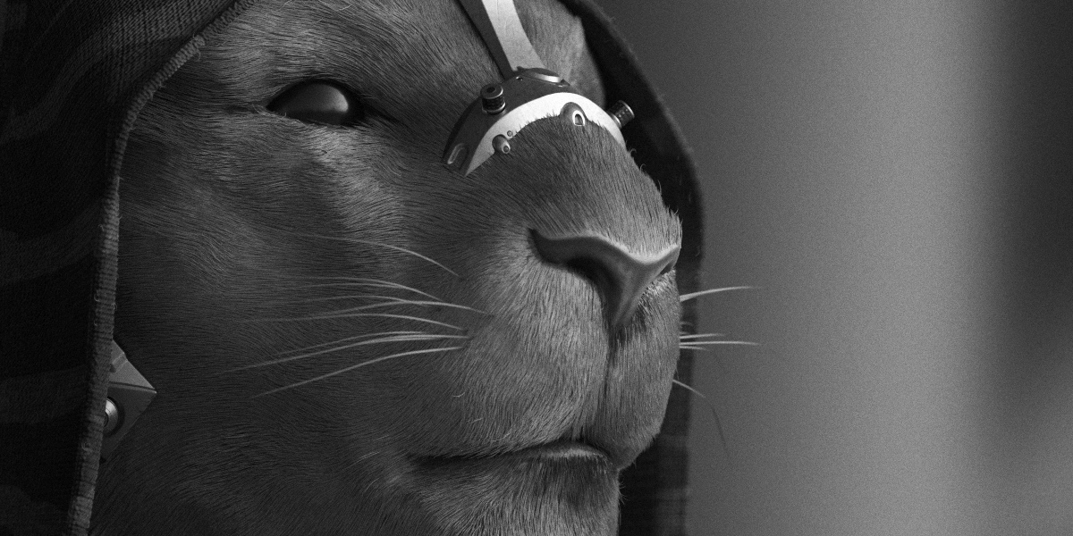Fur_close_02a.jpg