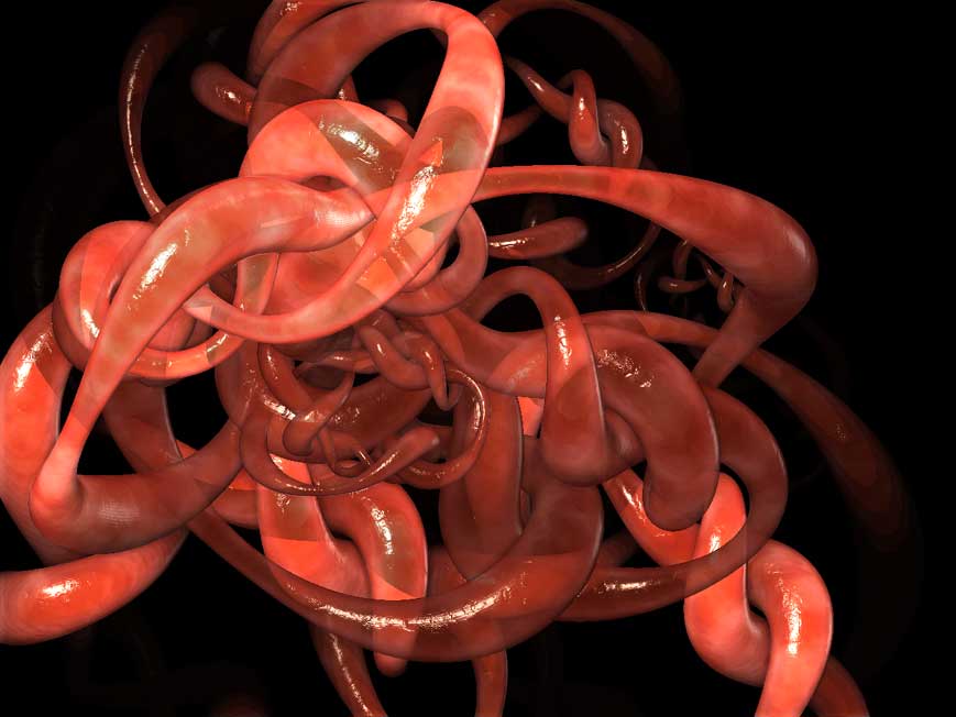worms07.jpg