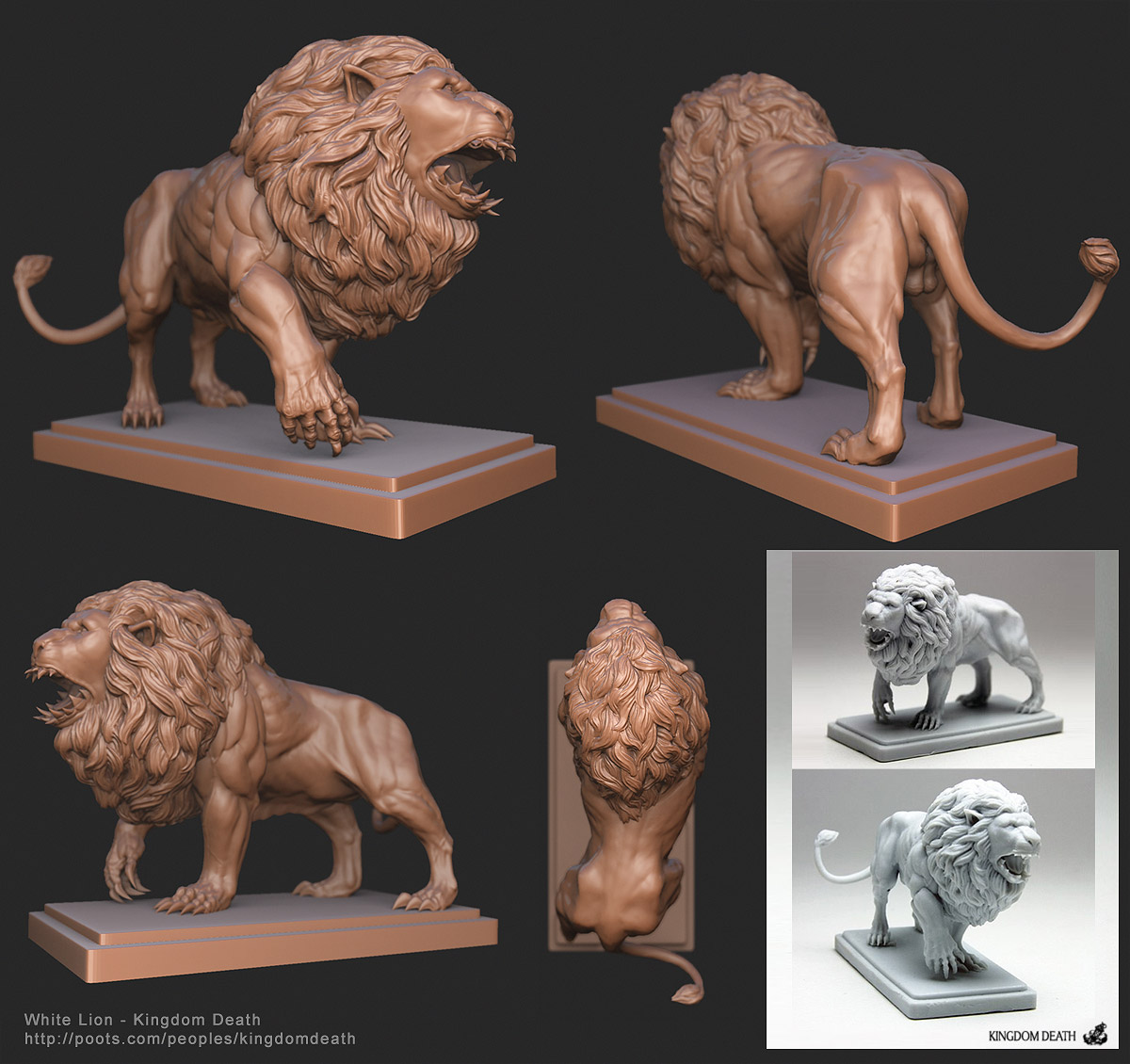 LionMontage.jpg