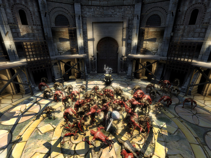 arena_bloom.jpg