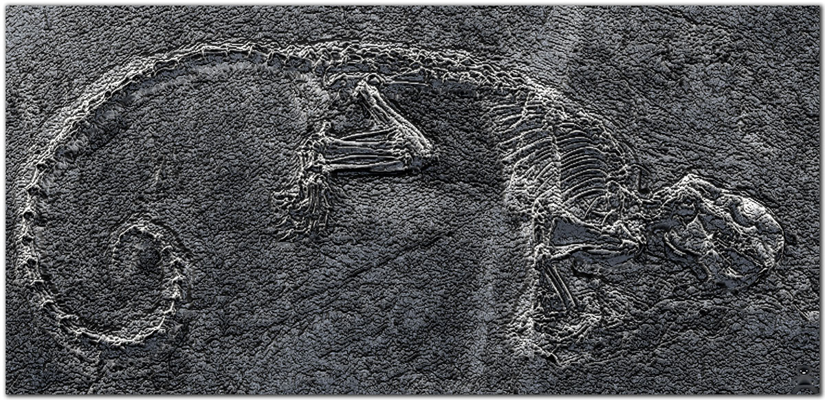 Critter3_BWZbrush.jpg