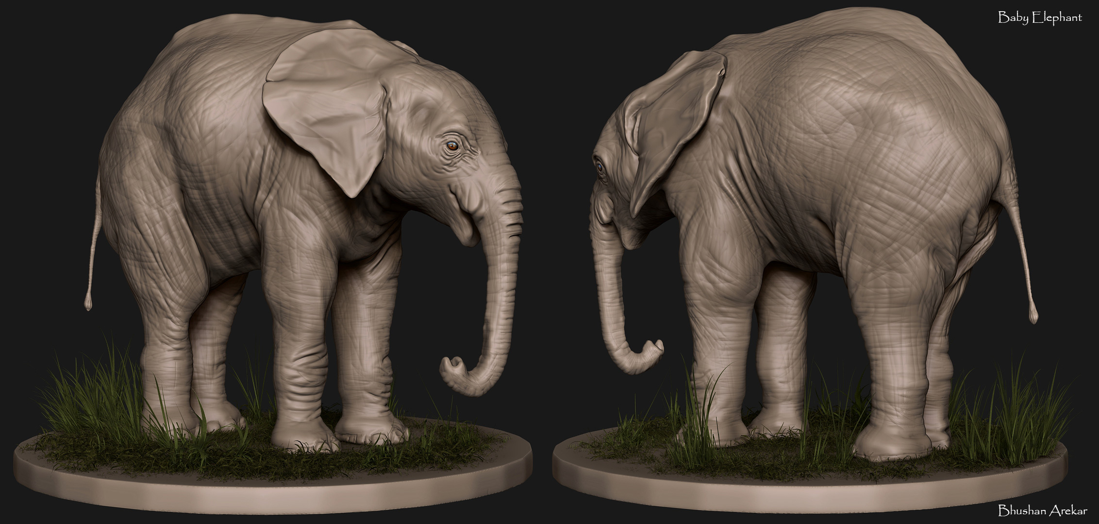 Baby-Elephant1.jpg
