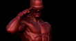 thumb.jpg