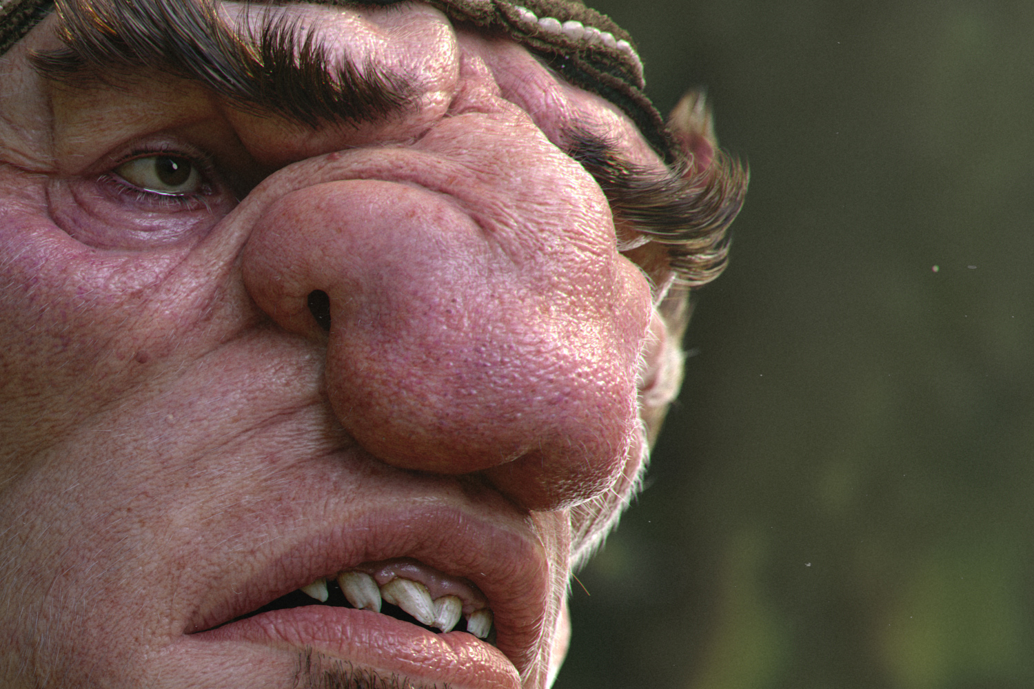 Close_UP_01.jpg