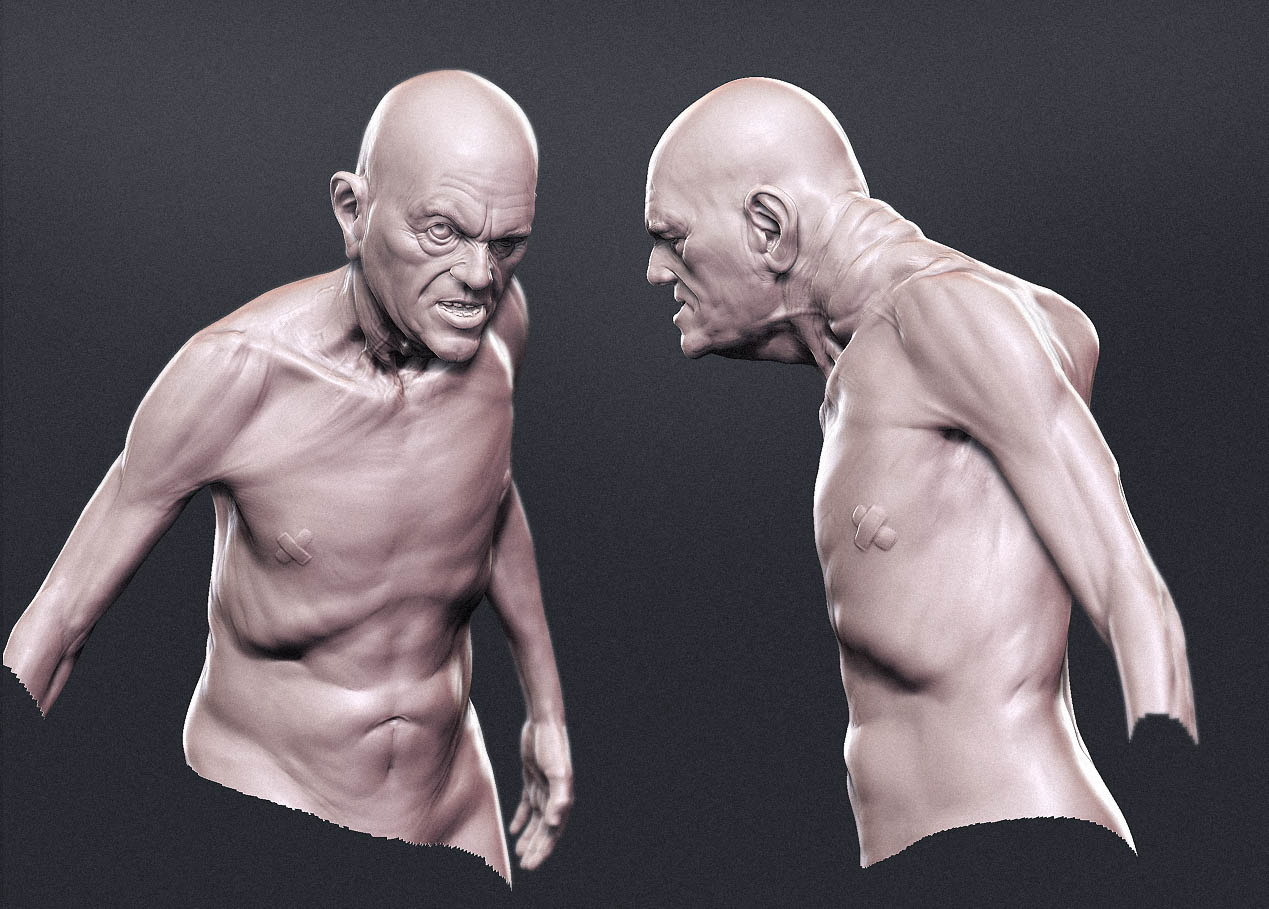 torso001.jpg