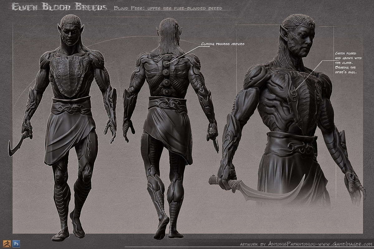 ElvenBloodBreeds001.jpg