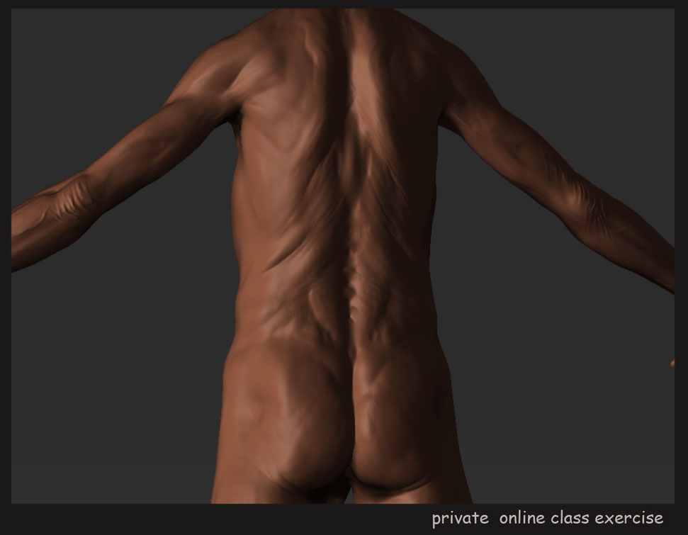 body_exercise_35