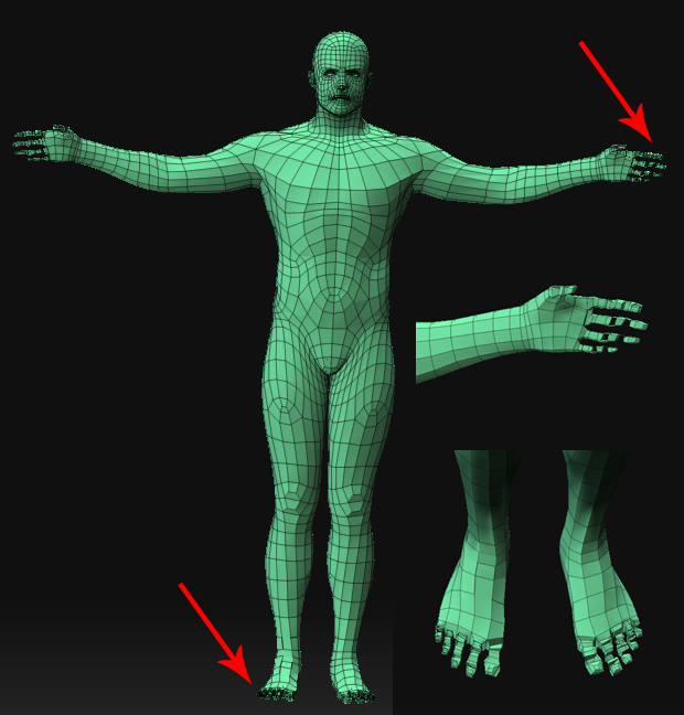 topo1.jpg