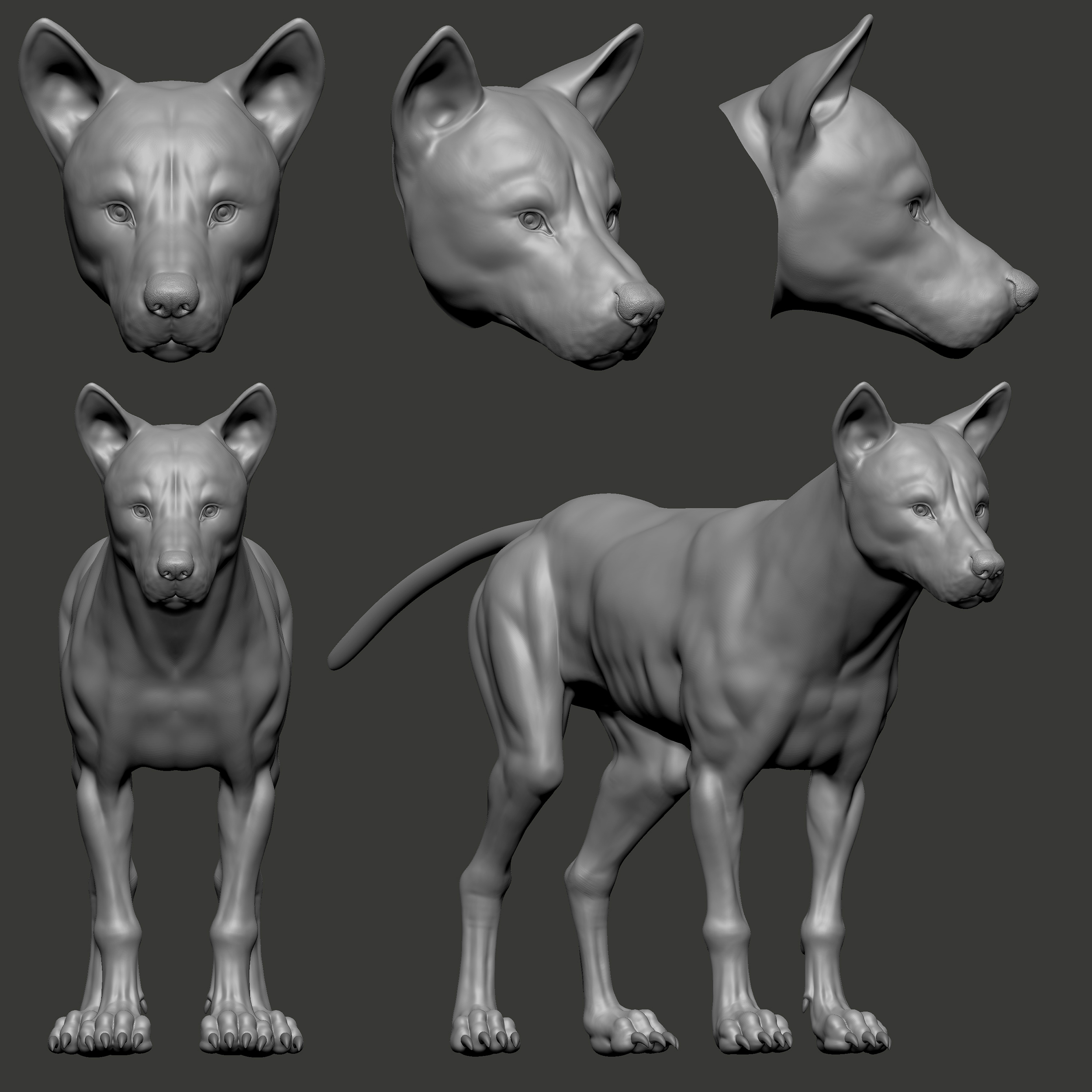 WolF_Body.JPG