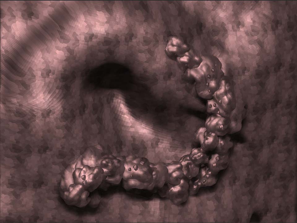 _MacroZoom_1web.jpg