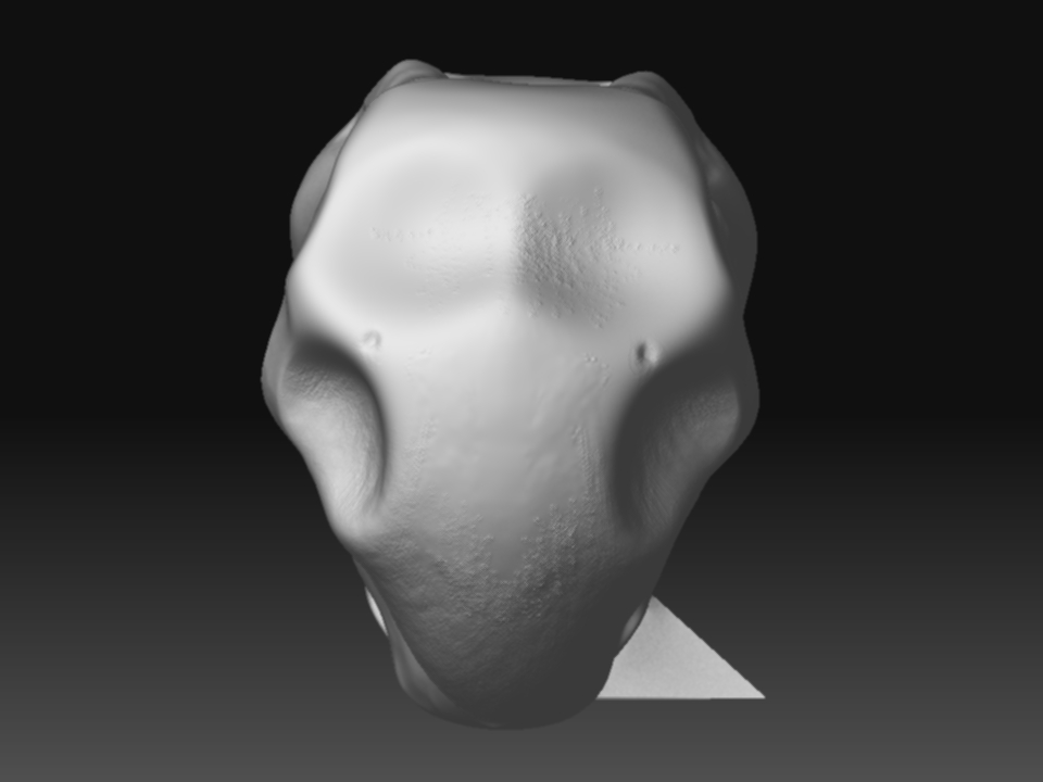 ZBrush Document.jpg