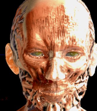 cavityrenderhead.jpg