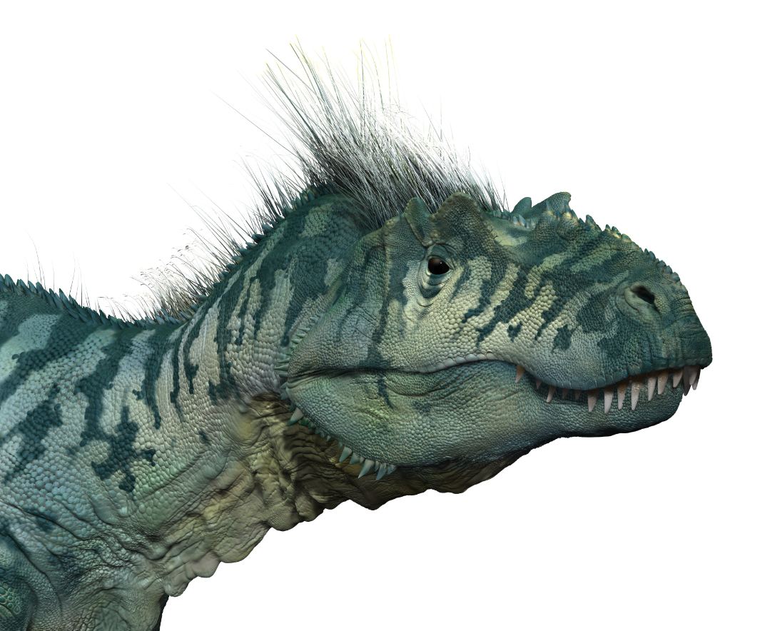 allosaurus 2.JPG