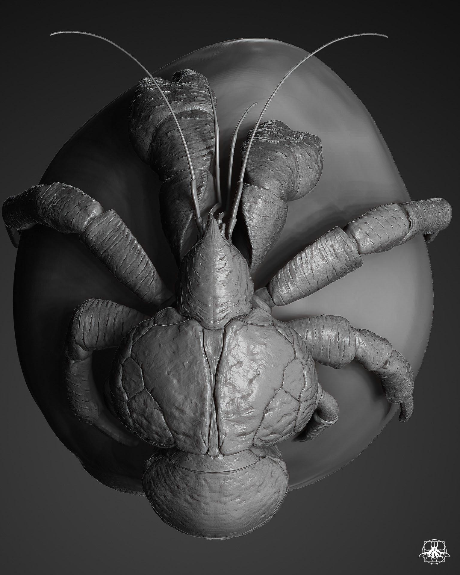 coconutCrab_01.jpg