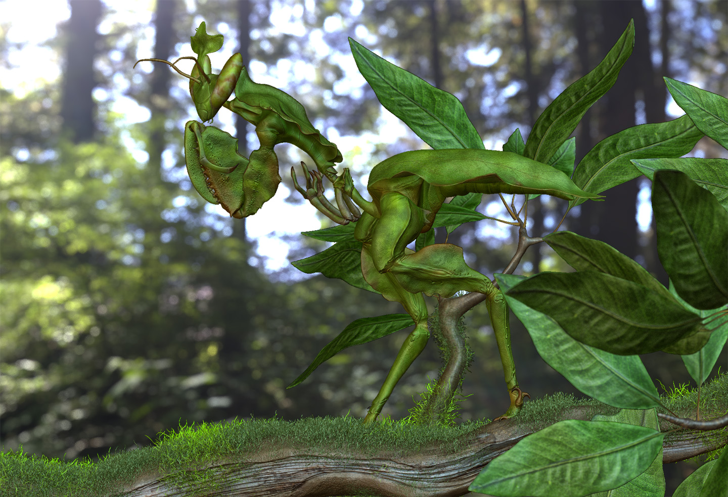 BPR_Render_stalking.jpg