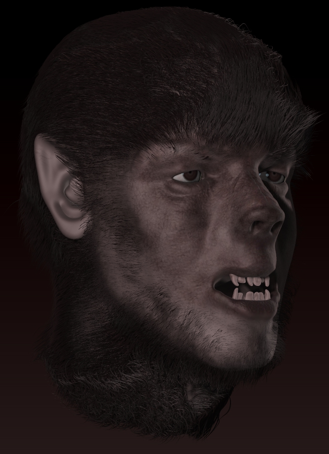 wolf4.jpg