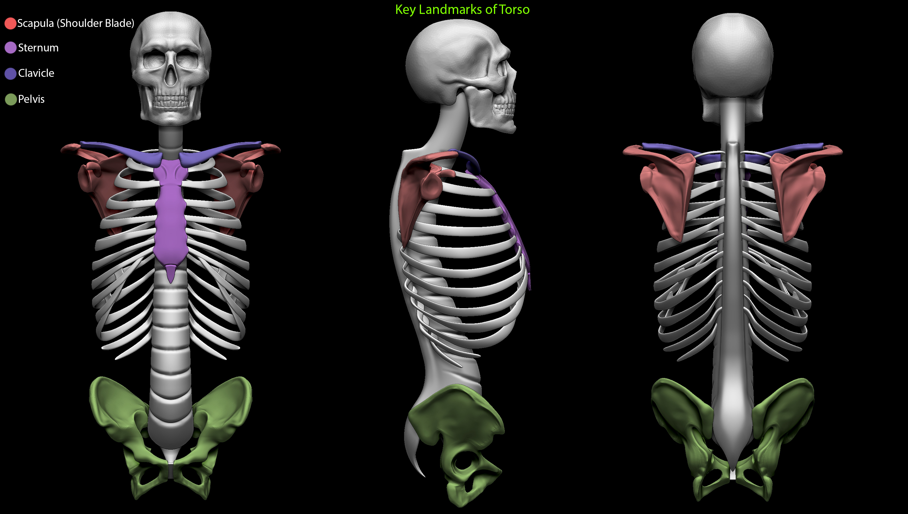 ZBrush Document2.jpg