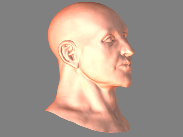 hoofd-rev6.jpg