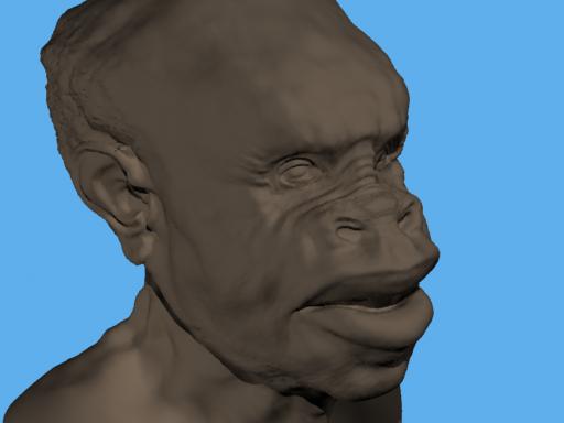 DispTestHead_Render