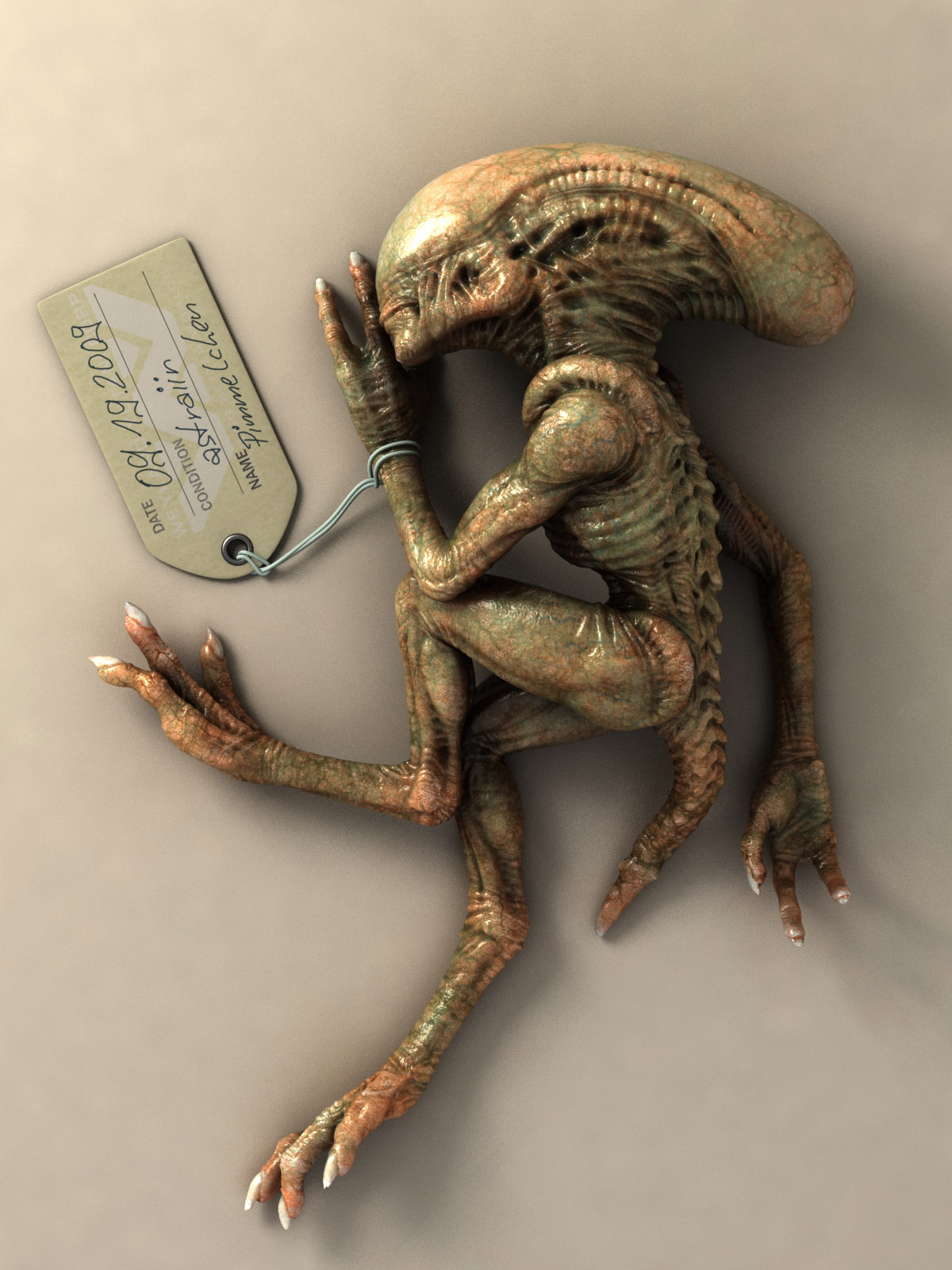 mousepad5b.jpg