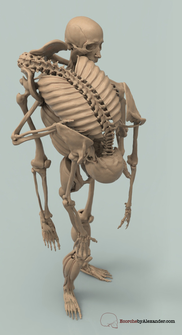 16_AlexanderKafoussiasE_3.jpeg