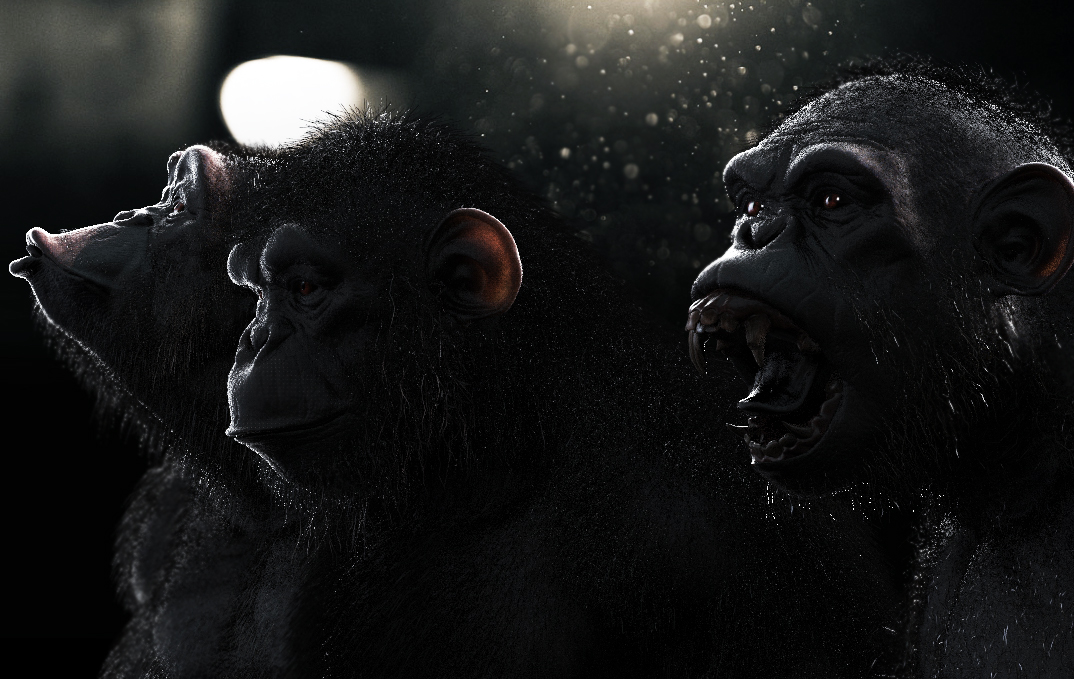 chimp4.jpg