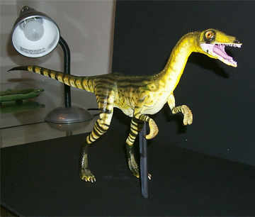 Compsognathus.jpg